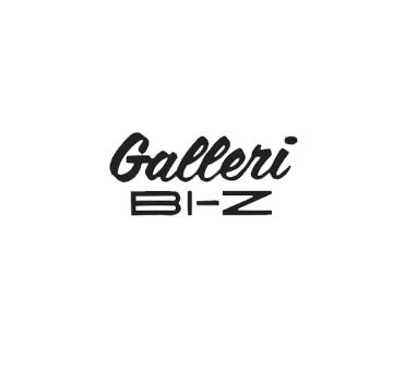 Logo Galleri BI-Z